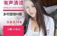 H版乡村爱情有声小说1-13集